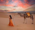 Best Choices Travel