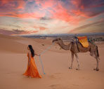 Best Choices Travel